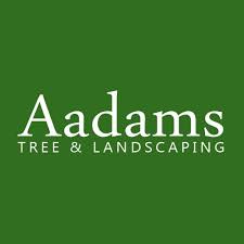 Aadams Tree Service